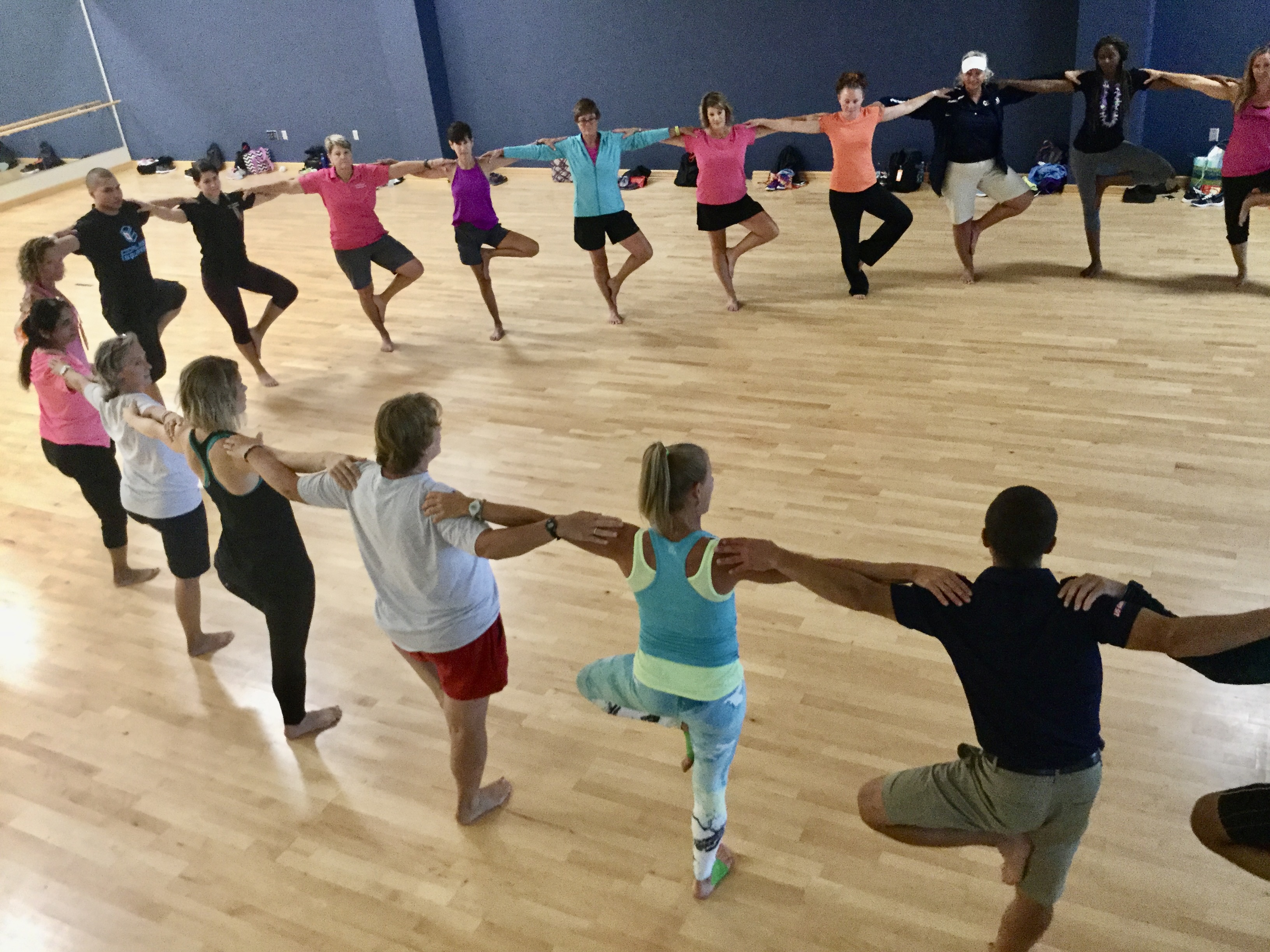 PE Institute Ashville 2017